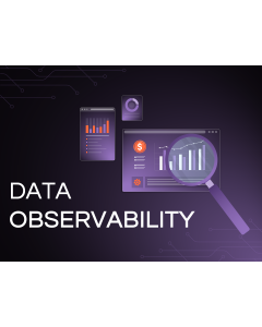 Data Observability PPT Thumbnail