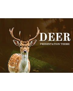 Deer Presentation PPT Thumbnail