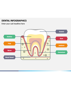 Dental Infographics Slide 1