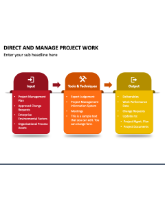 Direct and Manage Project Work PPT Slide 1