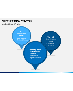 Diversification Strategy PPT Slide 1