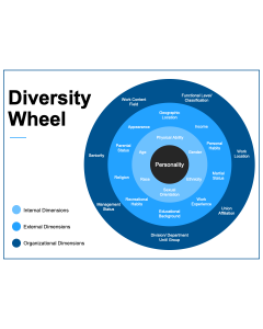 Diversity Wheel PPT Thumbnail