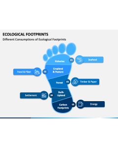 Ecological Footprints PPT Slide 1