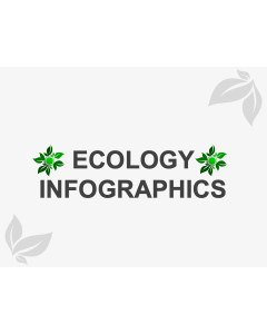 Ecology Infographics PPT Slide 1