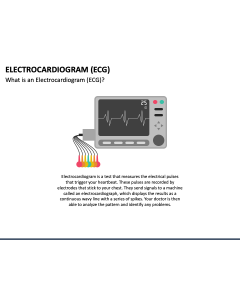 Electrocardiogram (ECG) PPT Slide 1