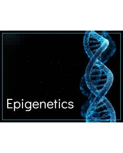 Epigenetics PPT Thumbnail