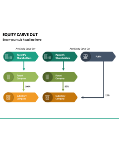 Equity Carve Out PPT Slide 1