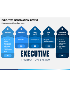 Executive Information System Slide 1