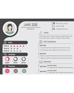 Executive Resume PPT Slide 1