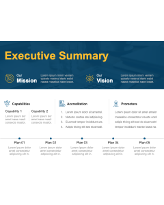 Executive Summary Presentation PPT Thumbnail