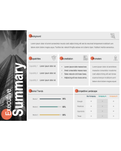 Executive Summary Sample Slide PPT Thumbnail
