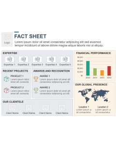 Fact Sheet Slides PPT Thumbnail