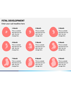 Fetal Development PPT Slide 1
