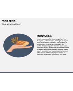 Food Crisis PPT Slide 1