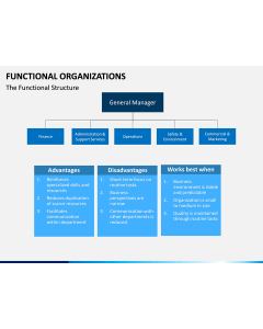 Functional organization PPT slide 1