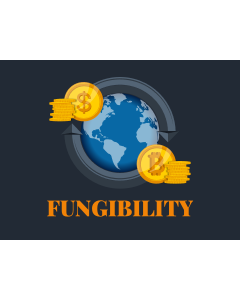 Fungibility PPT Slide 1