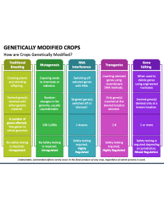 Genetically Modified Crops PPT Slide 1