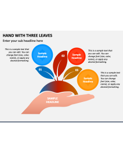Hand with Three Leaves PPT Slide 1