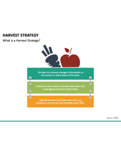 Harvest Strategy PPT Slide 1