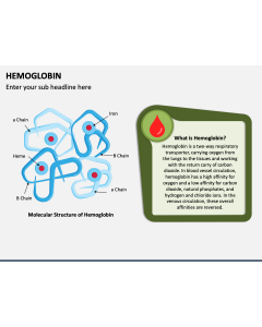 Hemoglobin PPT Slide 1