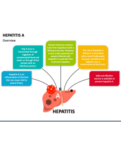 Hepatitis A PPT Slide 1