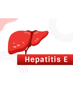 Hepatitis E PPT Thumbnail