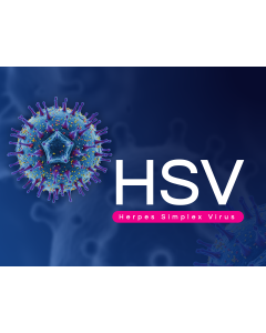 Herpes Simplex Virus (HSV) PPT Thumbnail