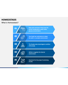 Homeostasis PPT Slide 1
