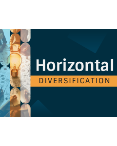 Horizontal Diversification PPT Thumbnail