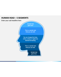 Human Head 5 Segments Slide 1