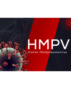 Human Metapneumovirus (HMPV) PPT Thumbnail