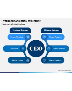 Hybrid Organization Structure PPT Slide 1