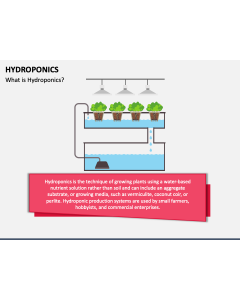 Hydroponics PPT Slide 1