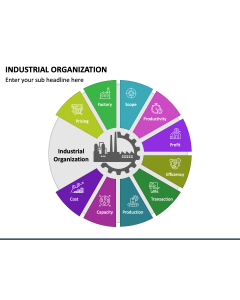 Industrial Organization PPT Slide 1