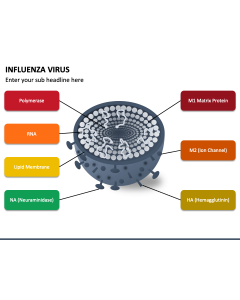 Influenza Virus PPT Slide 1