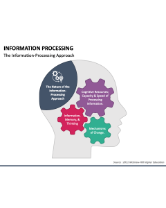 Information Processing PPT Slide 1