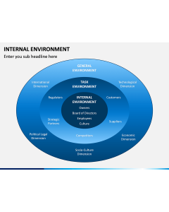 Internal Environment PPT Slide 1
