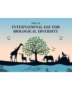 International Day for Biological Diversity PPT Slide 1