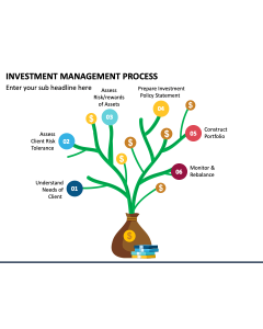 Investment Management Process PPT Slide 1