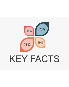 Key Facts PPT Thumbnail