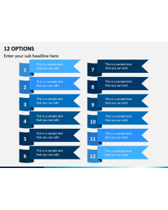 12 Options PPT Slide 1