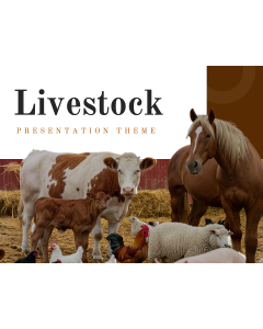 Livestock Theme PPT Thumbnail