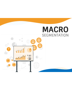 Macro Segmentation PPT Thumbnail