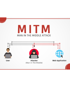 Man in the Middle Attack (MITM) PPT Thumbnail