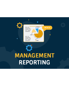 Management Reporting PPT Thumbnail