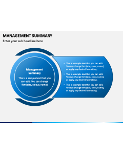Management Summary PPT Slide 1