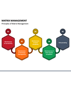 Matrix Management PPT Slide 1