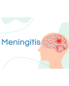 Meningitis PPT Thumbnail