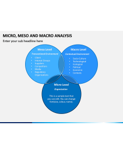 Micro Meso Macro Analysis PPT Slide 1