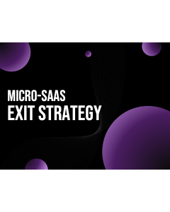 Micro-SaaS Exit Strategy PowerPoint and Google Slides Template
